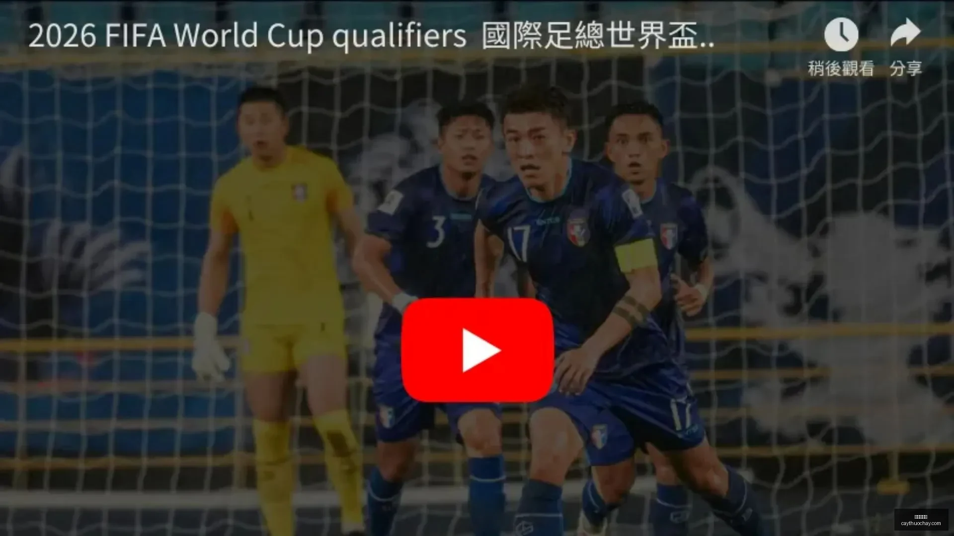 基斯网球连,冠十五场,萨巴伦卡晋,九游会备用官网,九游会备用App,九游会互动,九游会登录,九游会中心