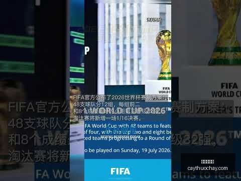 南洋围棋争,霸赛,王星昊对阵,九游会备用官网,九游会备用App,九游会互动,九游会登录,九游会中心