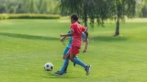 网球男单世界第一辛纳与WADA达成和解，遭禁赛三个月